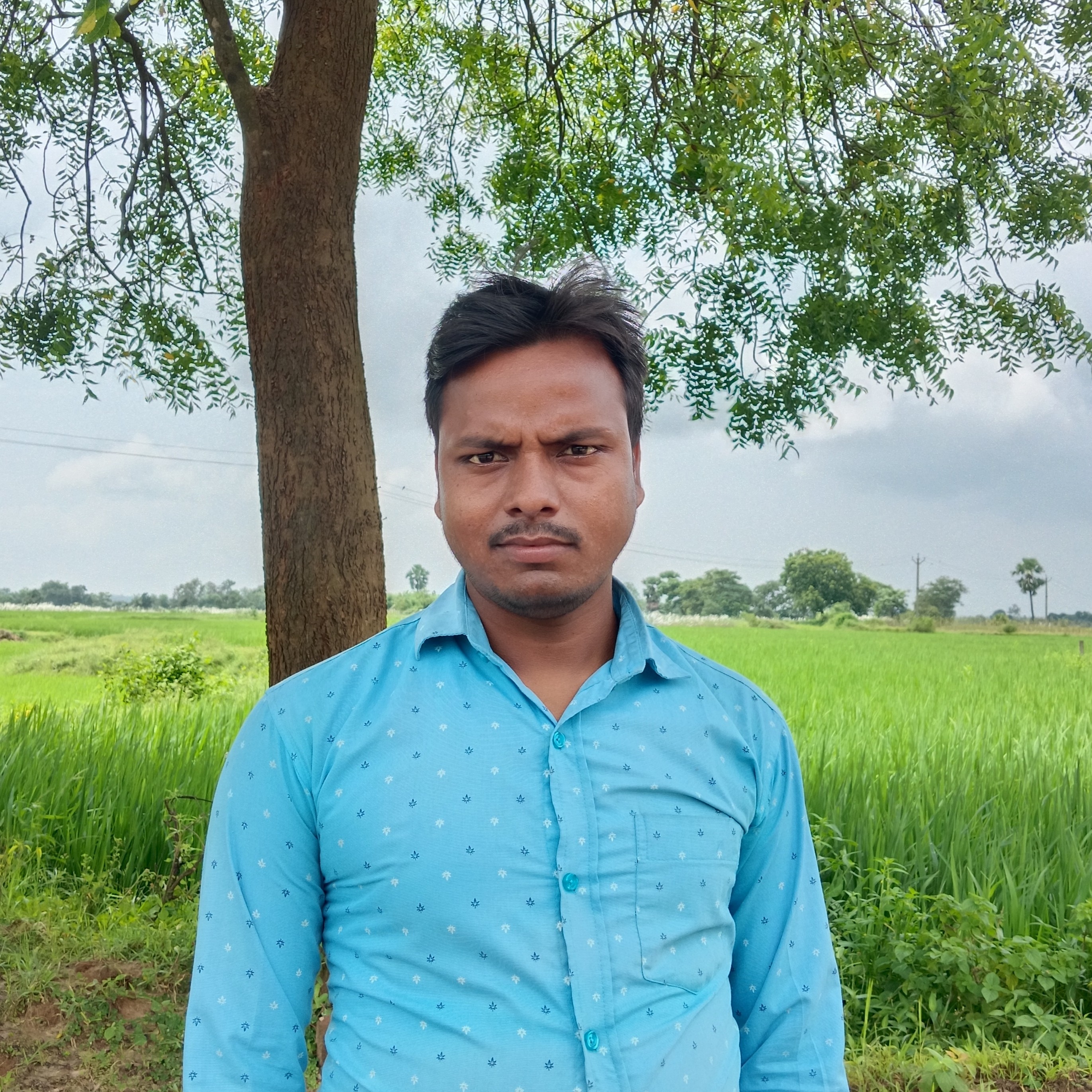 vj