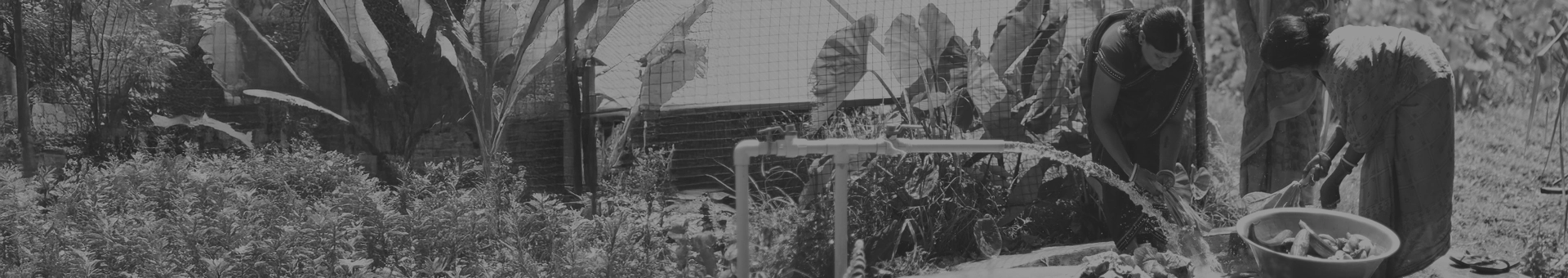 Climate Resilient Agriculture powered by Distributed Renewable Energy