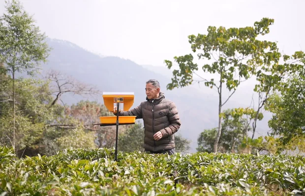 From Rising Pest Costs to Better Crop Protection