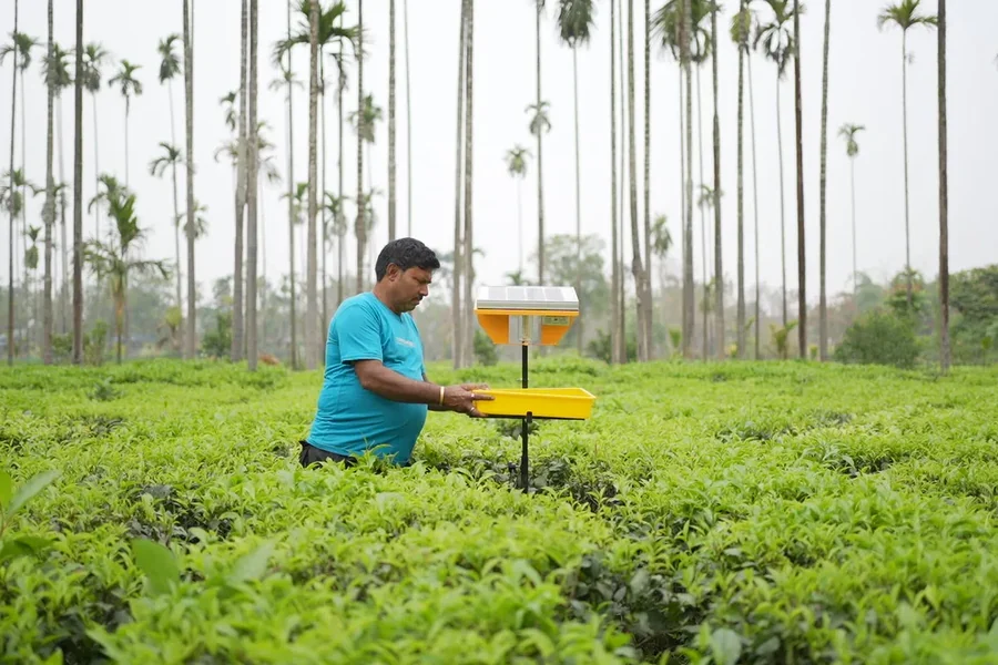 Energy Security in North Bengal Tea Gardens