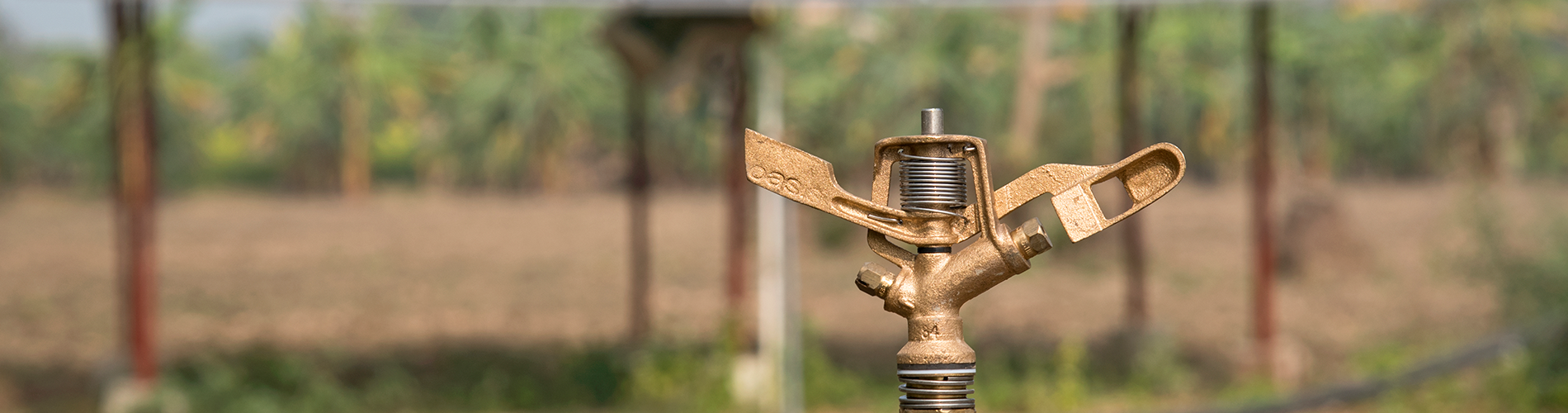 Promoting Decentralized Renewable Energy Solutions