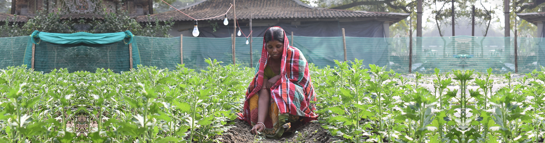 Converting to Organic Villages