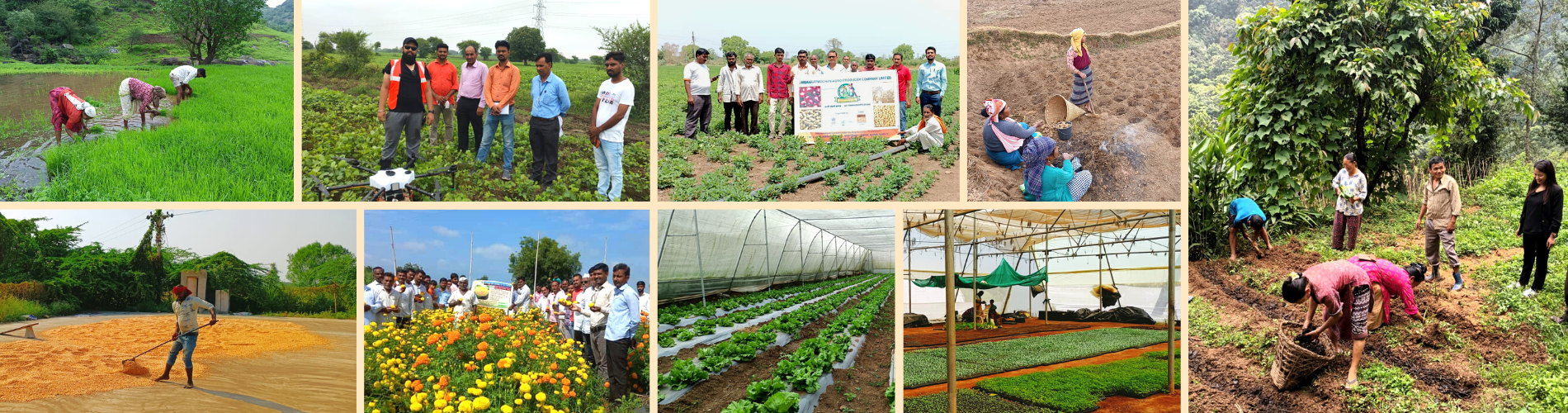 Farmer Producer Organization Promotion