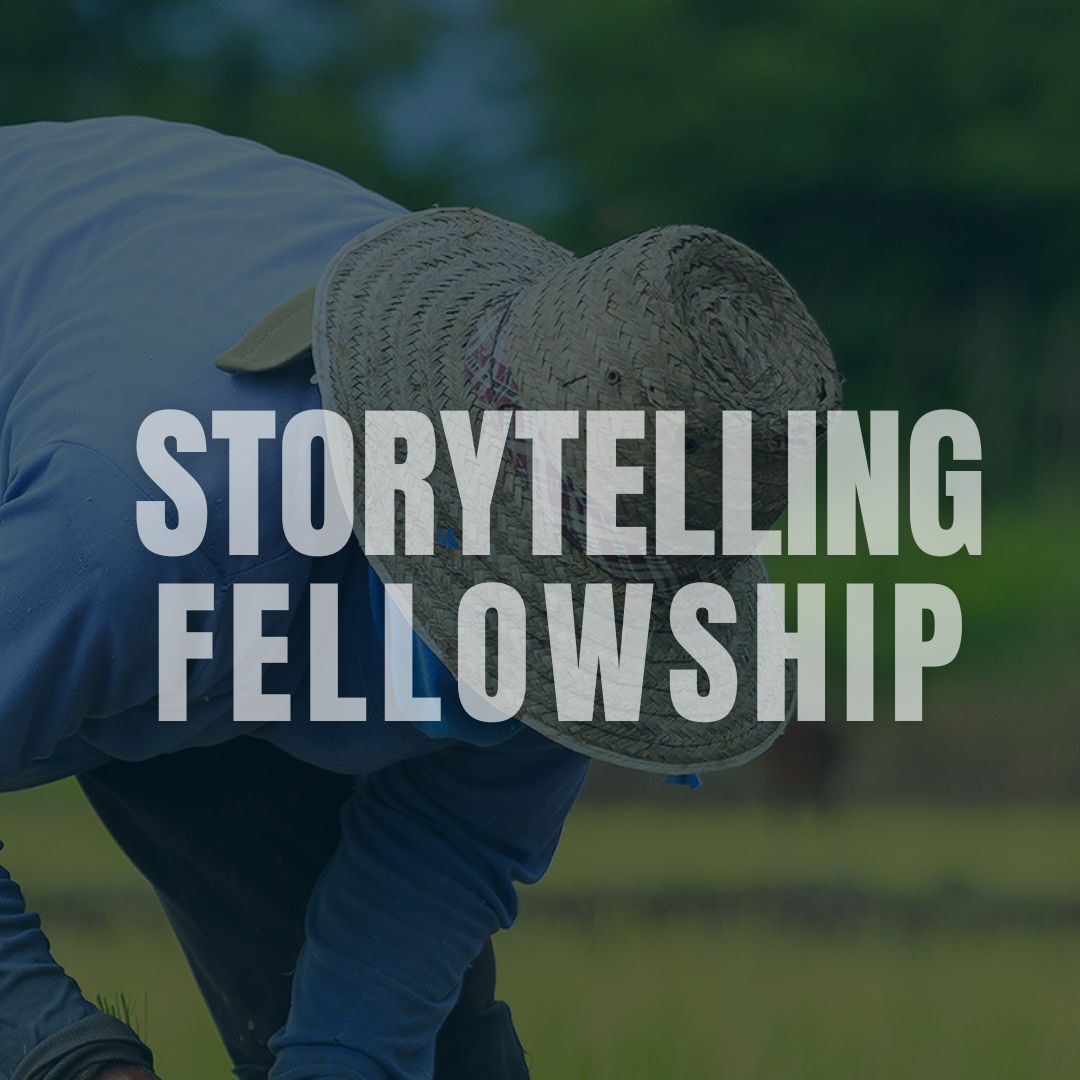 3-Month Media Fellowship