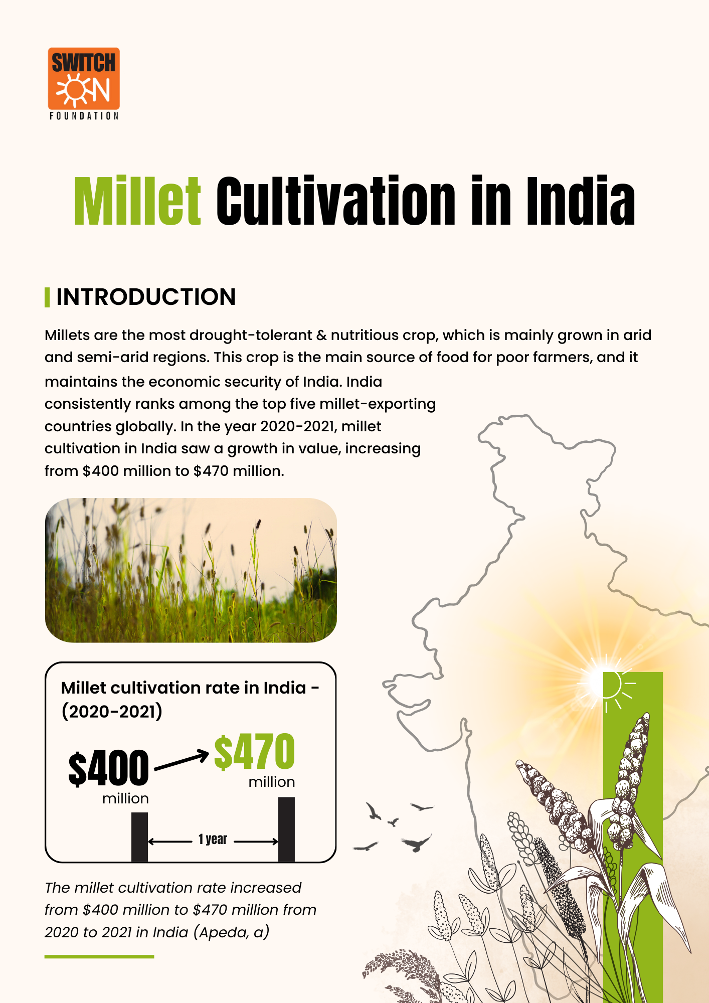 Millet Cultivation in India