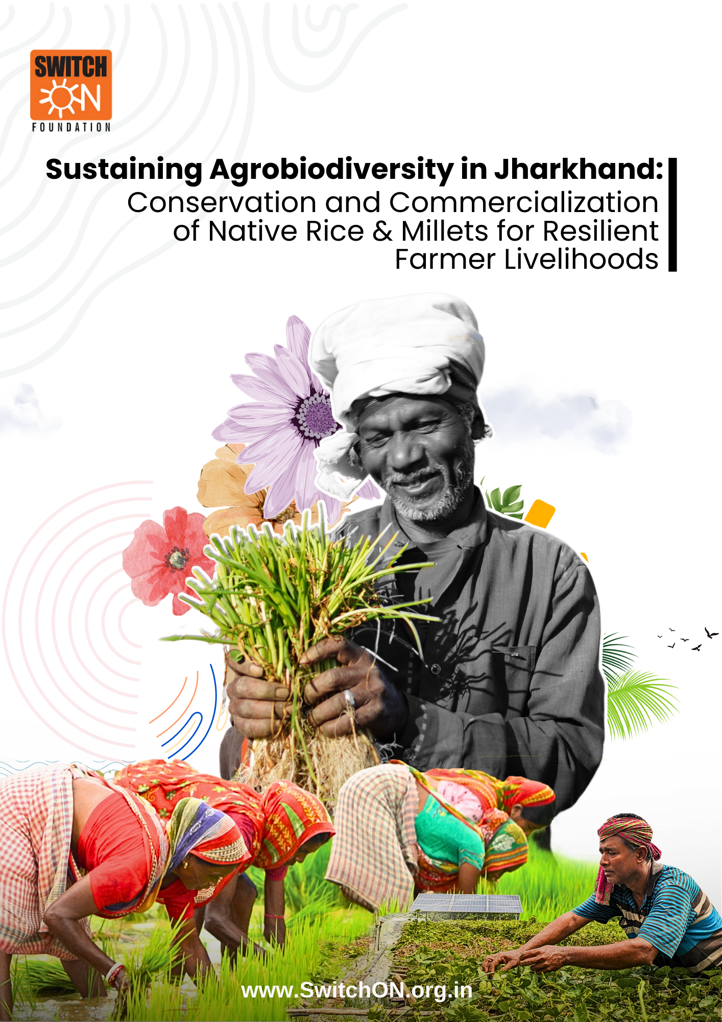 Sustaining Agrobiodiversity in Jharkhand: Conservation & Commercial Use of Native Legumes and Millets in Jharkhand