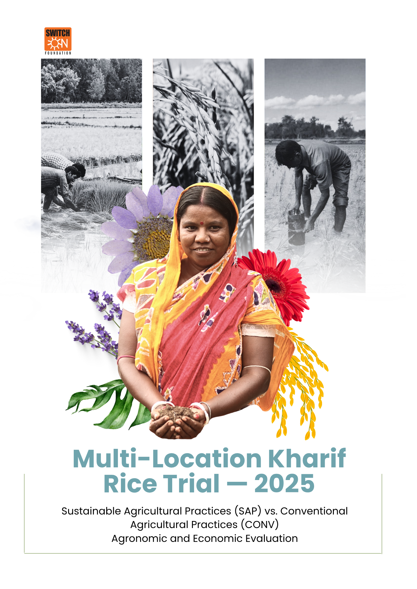 Multi-Location Kharif Rice Trial 2025