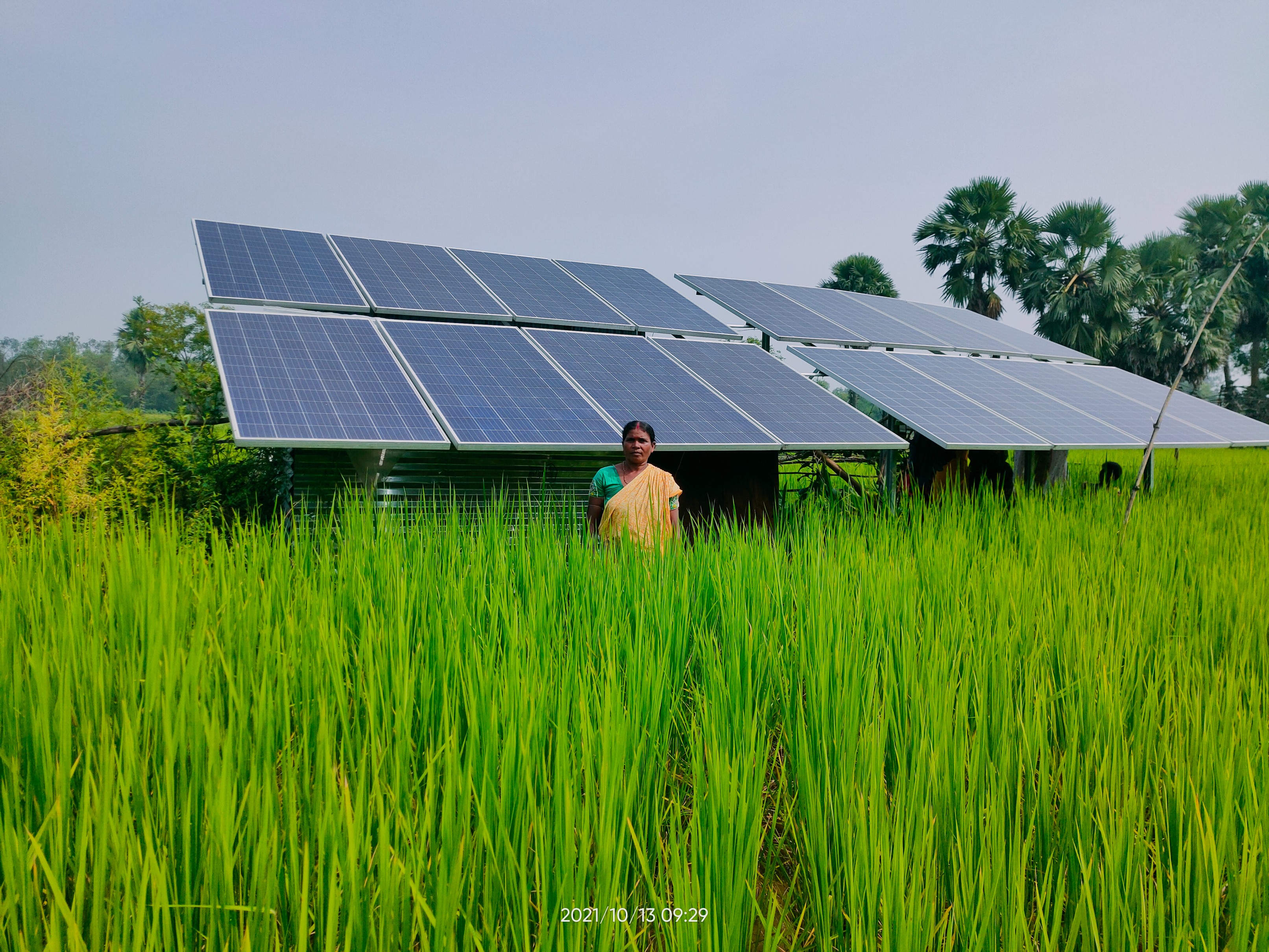 Women Farmers to Benefit from Solar Pumps in Jharkhand